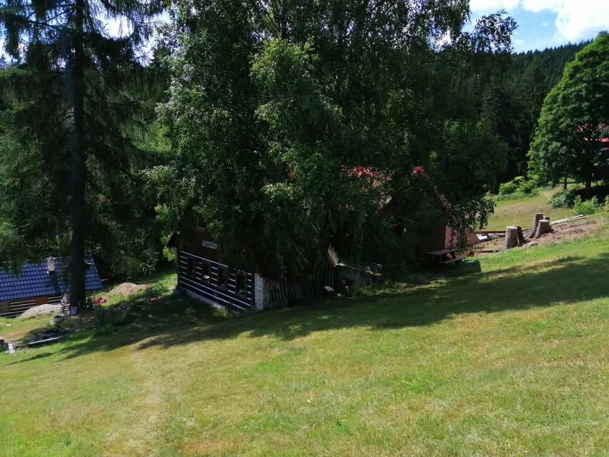 Apartman Dve Micky Пец-под-Снежкой Экстерьер фото